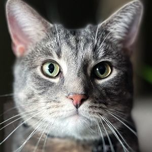 Meet your Posher, Kris